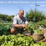 Vegetable Garden Goals