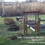 succession planting in the vegetable garden
