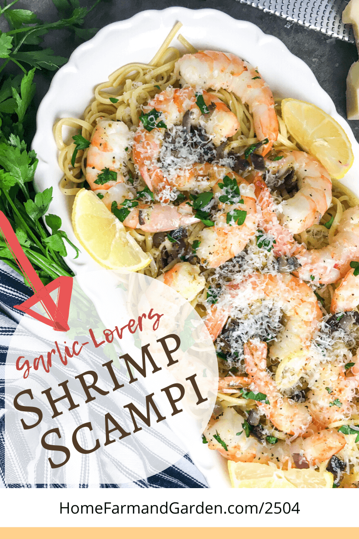 Scrumptious Shrimp Scampi